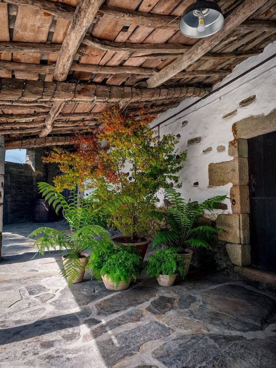Decoración vivienda